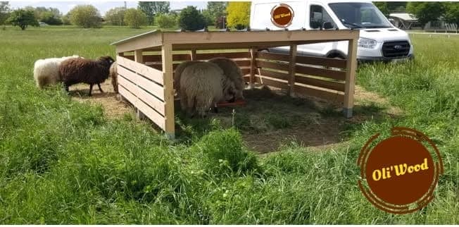Abri pour moutons en bois