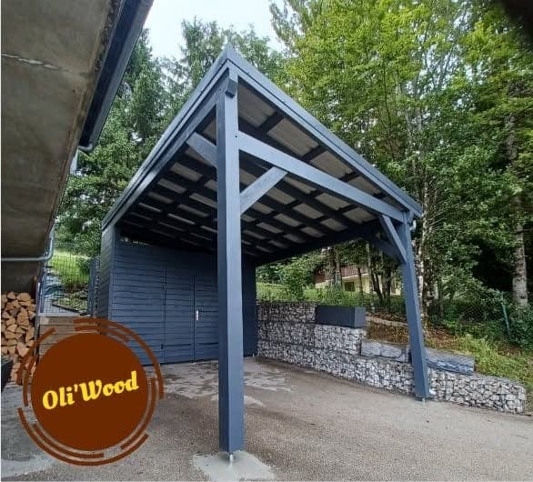 Carport anthracite avec couverture translucide